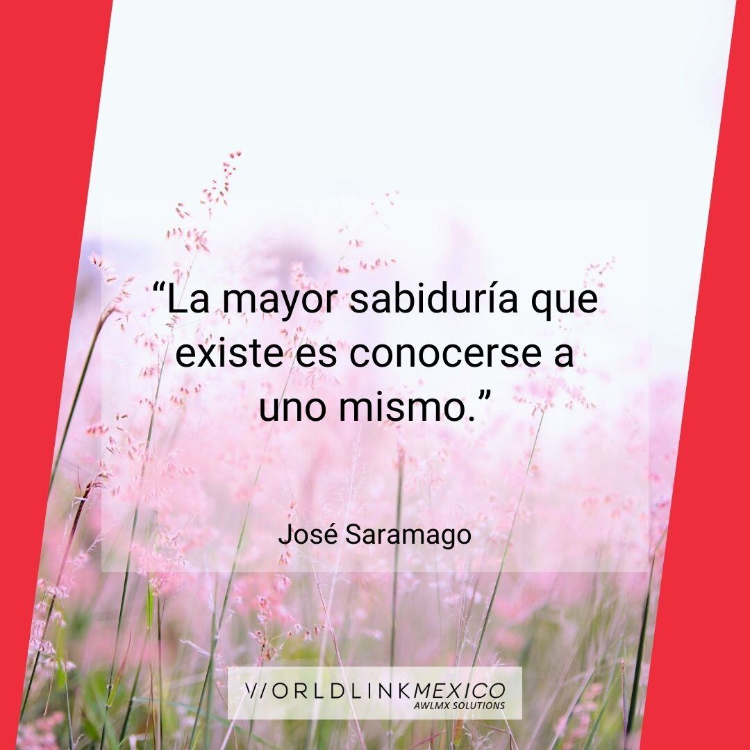 WorldLink México (@WorldlinkMX) / Posts / X