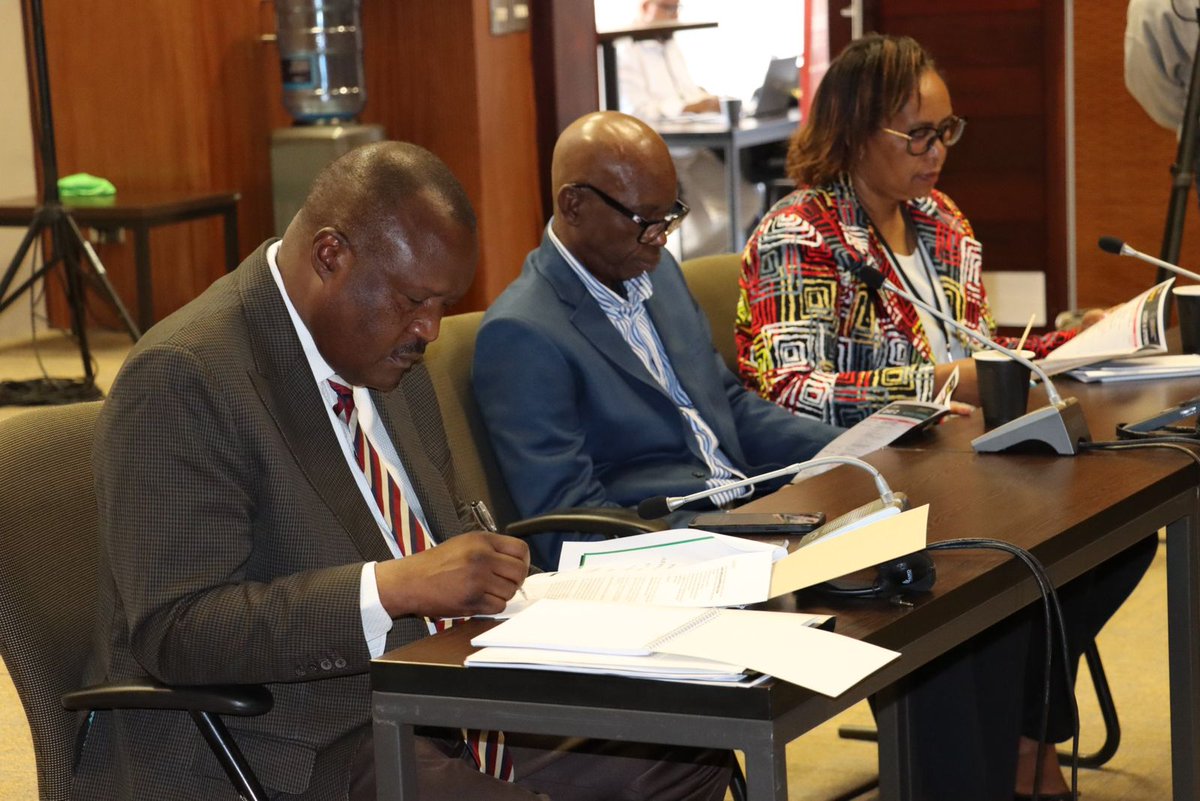 Mzalendo tweet media