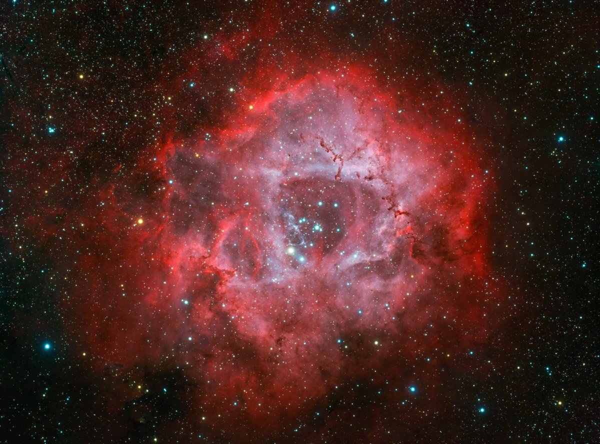 astropics's tweet photo. The Rosette Nebula 🌹 https://t.co/j6BjngD1zn