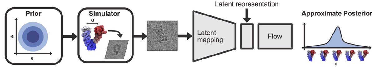 PRX_Life's tweet image. The latent embeddings of both simulated and experimental data learned using a simulation-based inference method for #cryoEM images correspond to low-dimensional smooth manifolds that are parametrized by physical properties of the data.

🔗 go.aps.org/3Kyz621