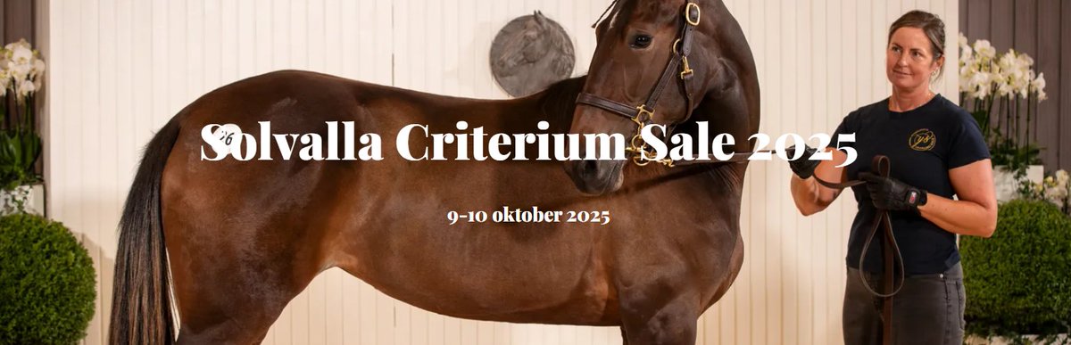 Equineline tweet media