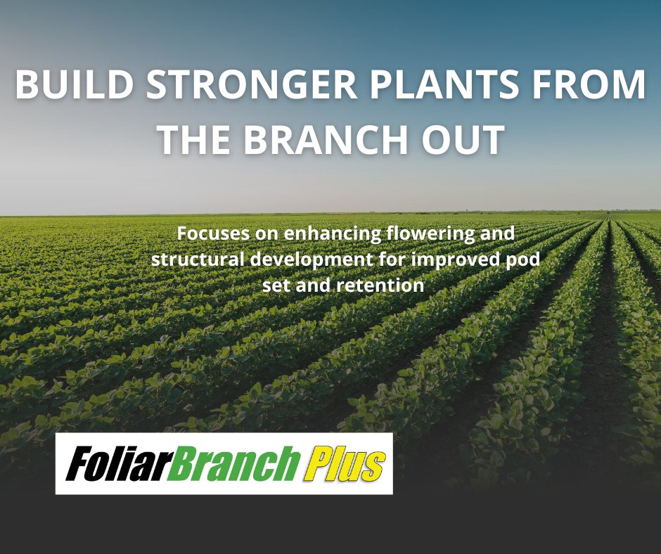 AgPerformanceBC's tweet image. Maximize yield with the Foliar Triple Threat — flower stronger, handle stress, and fuel growth.
🌱 Backed by science. Built for performance.
📞 Call 641-562-2370 | 🔗 agperformance.com/foliar-triple-…
#FoliarTripleThreat #AgPerformance #YieldProtection #StrongerEveryStage