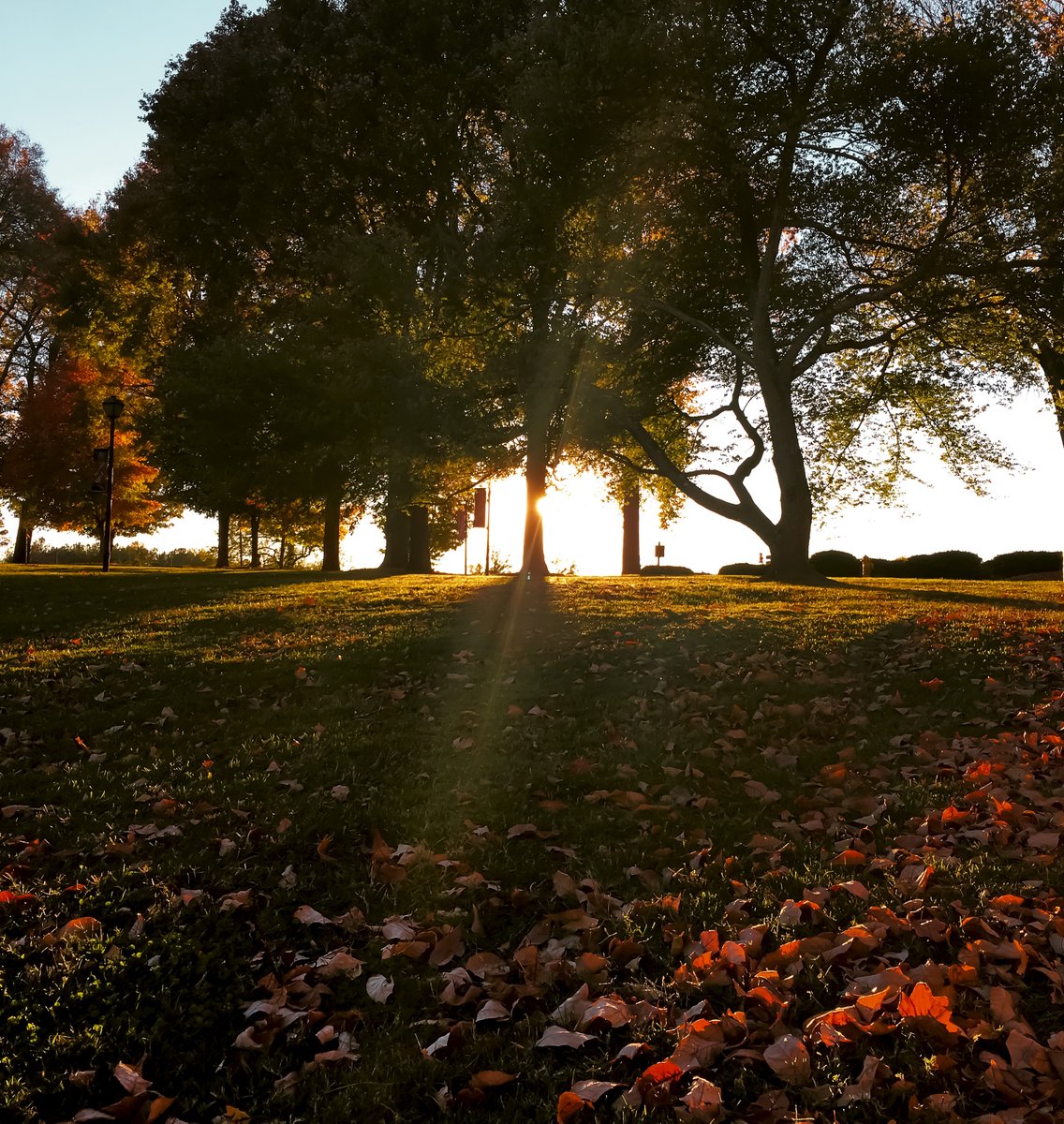 BelmontAbbey's tweet photo. We cannot wait for the fall colors on campus! 😍 Happy first day of fall, Crusaders! 

#abbeylifeisgood https://t.co/xMVeKCr7O9