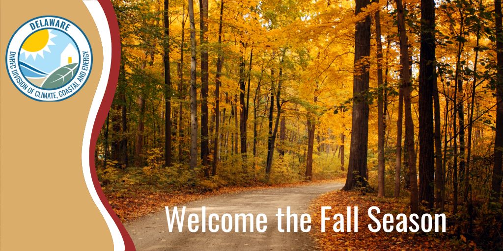 The autumnal equinox occurs at 2:19 p.m. today, ushering in the first day of fall.