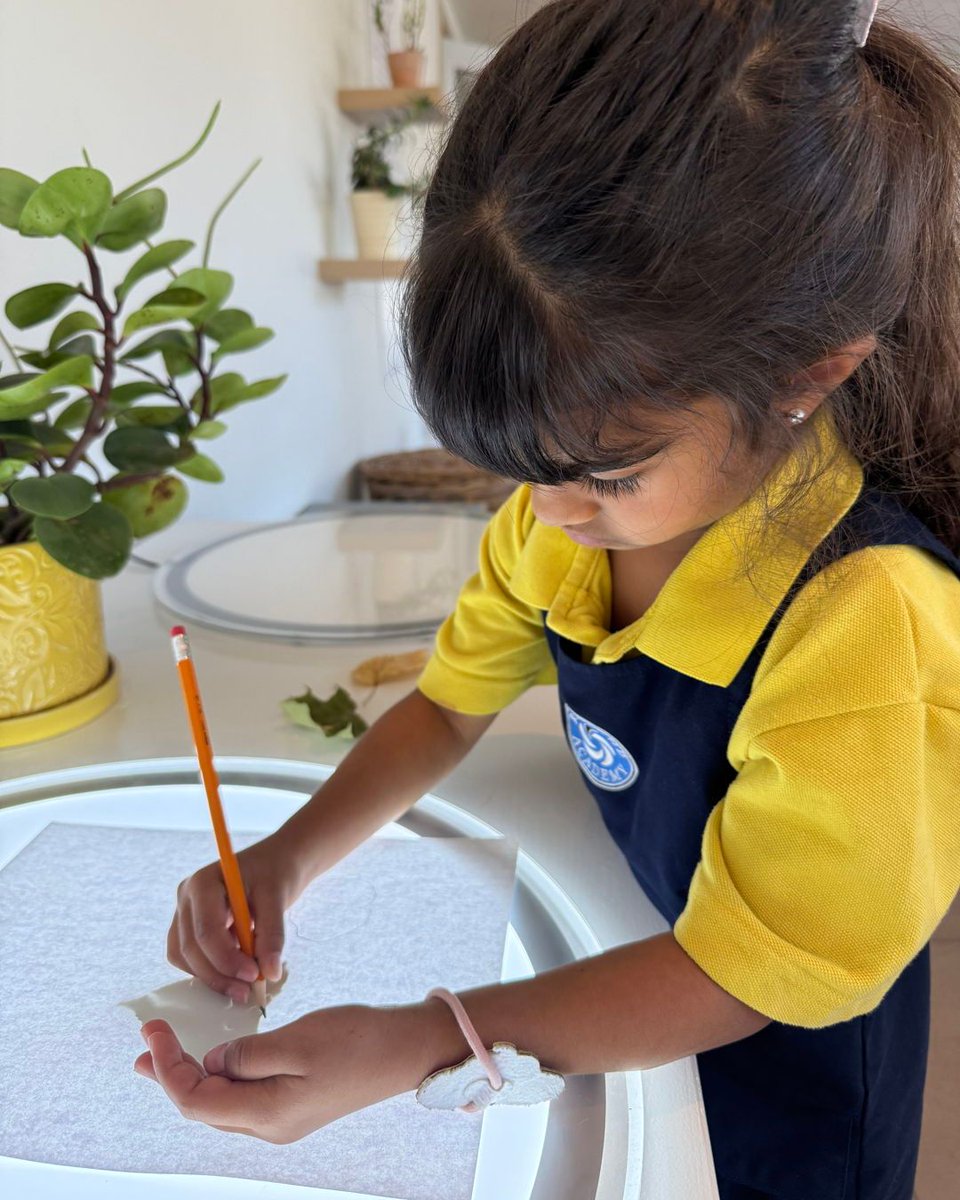 richlandacad's tweet image. Our Senior Kindergarten students are continuing their fascinating study of leaves! Each child carefully placed their collected leaves on the light table, observing all the incredible details before tracing their outlines. #NatureStudy #LeafArt #ObservationSkills