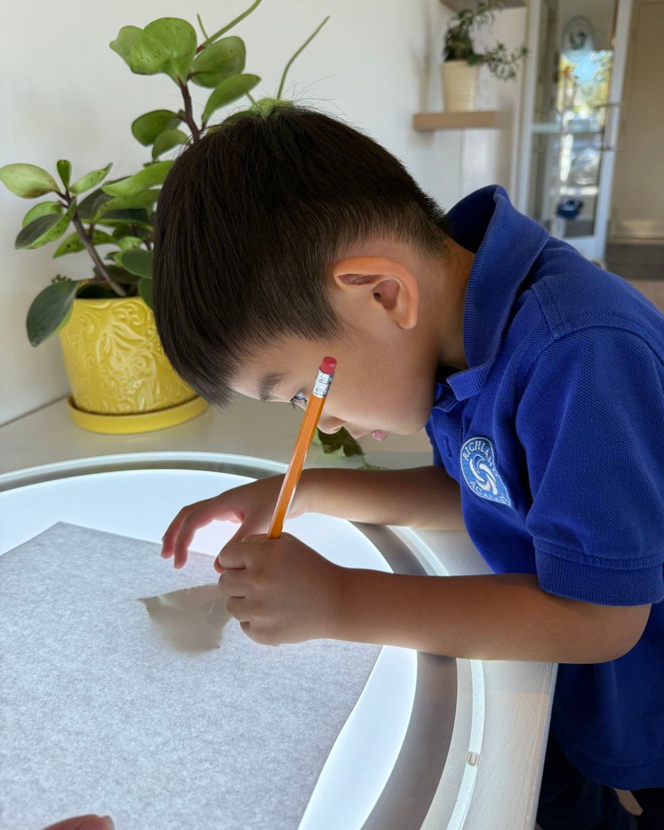 richlandacad's tweet image. Our Senior Kindergarten students are continuing their fascinating study of leaves! Each child carefully placed their collected leaves on the light table, observing all the incredible details before tracing their outlines. #NatureStudy #LeafArt #ObservationSkills