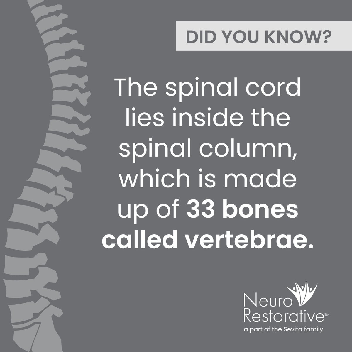 Spinal Cord Injury Awareness Month!
Check in each week for the month of September to learn more facts about the spine.
#SpinalCordInjuryAwarenessMonth