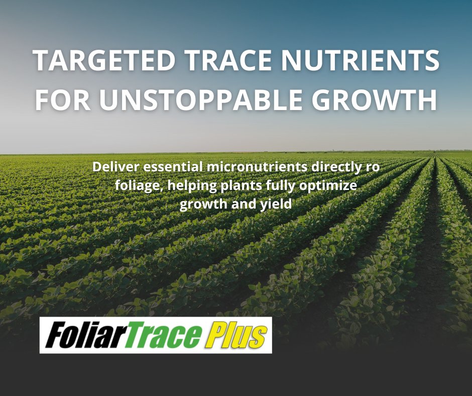 AgPerformanceBC's tweet image. Maximize yield with the Foliar Triple Threat — flower stronger, handle stress, and fuel growth.
🌱 Backed by science. Built for performance.
📞 Call 641-562-2370 | 🔗 agperformance.com/foliar-triple-…
#FoliarTripleThreat #AgPerformance #YieldProtection #StrongerEveryStage