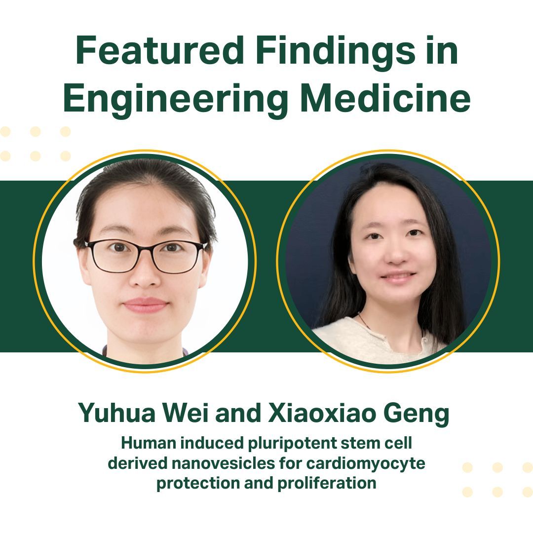 UAB Biomedical Engineering (@uabbme) on Twitter photo 👩🔬 Tiny but powerful: Yuhua Wei and Xiaoxiao Geng, both UAB BME Ph.D. students, were apart of a study that engineered stem cell–derived nanovesicles that protect heart cells and encourage them to grow, offering hope for repairing damaged hearts. Read more: sciencedirect.com/science/articl… 👩🔬 Tiny but powerful: Yuhua Wei and Xiaoxiao Geng, both UAB BME Ph.D. students, were apart of a study that engineered stem cell–derived nanovesicles that protect heart cells and encourage them to grow, offering hope for repairing damaged hearts. Read more: sciencedirect.com/science/articl…