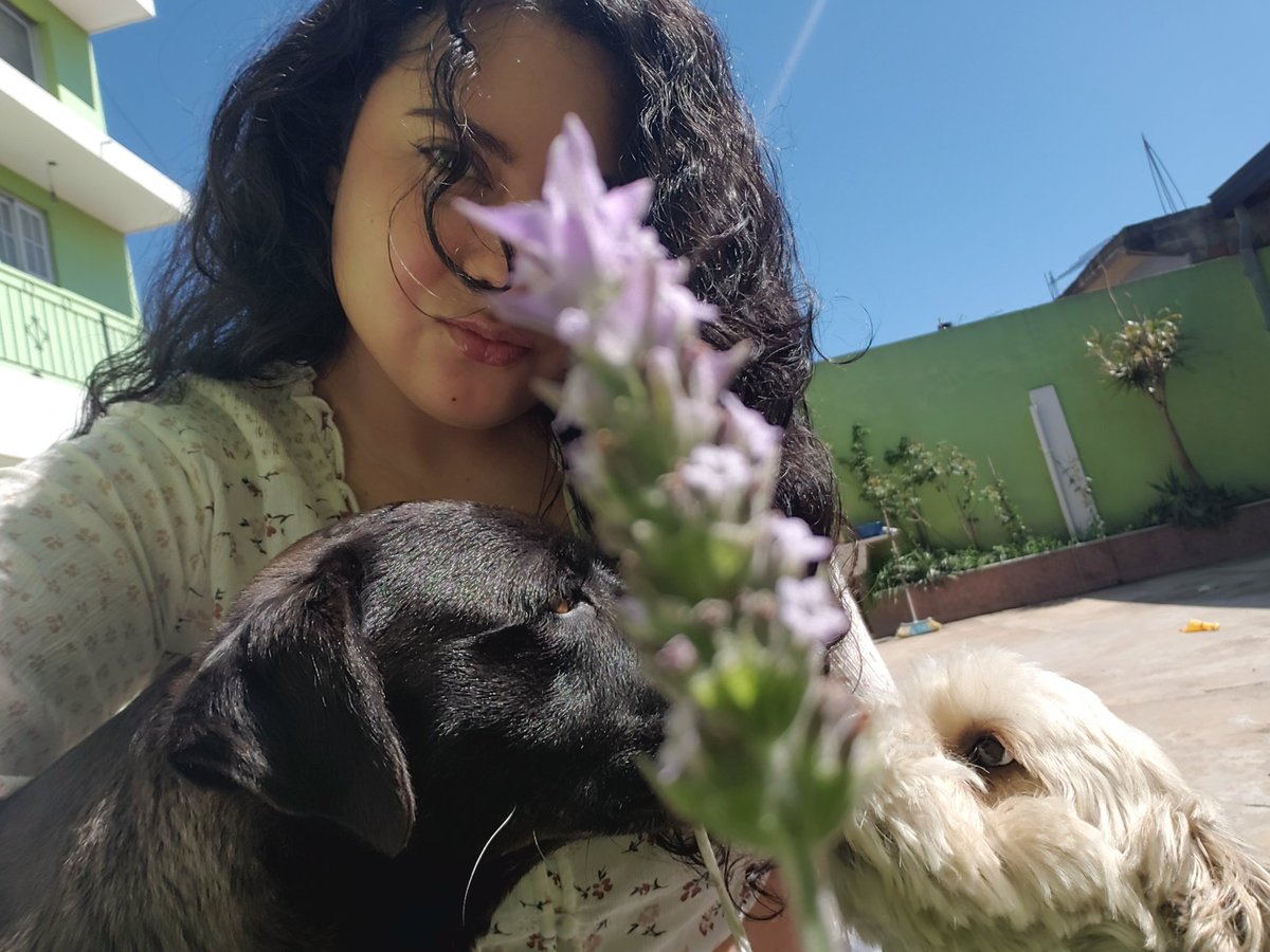 Dani_Listh's tweet photo. 🌸 Spring mood ~  🐶🐝 https://t.co/ENHFr2o9d5