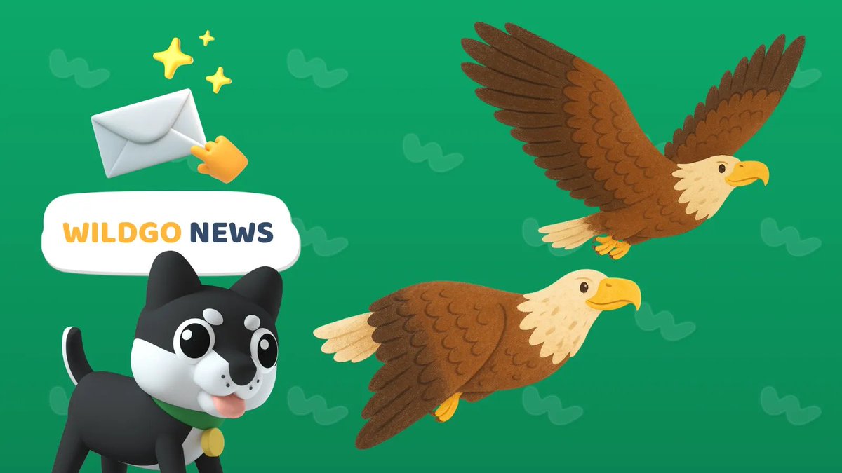 WILDGO tweet media