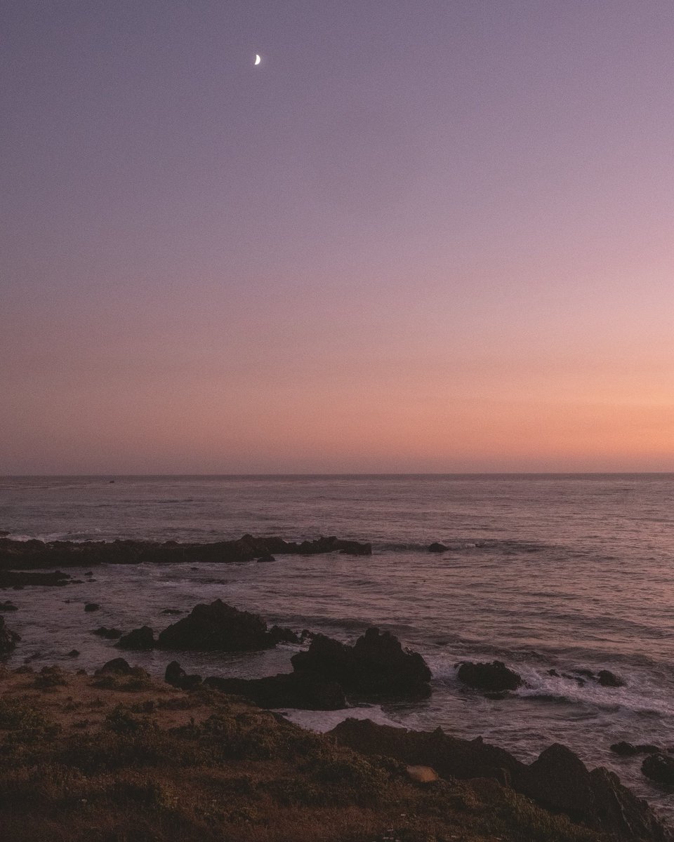 dp (@paviddark) on Twitter photo 