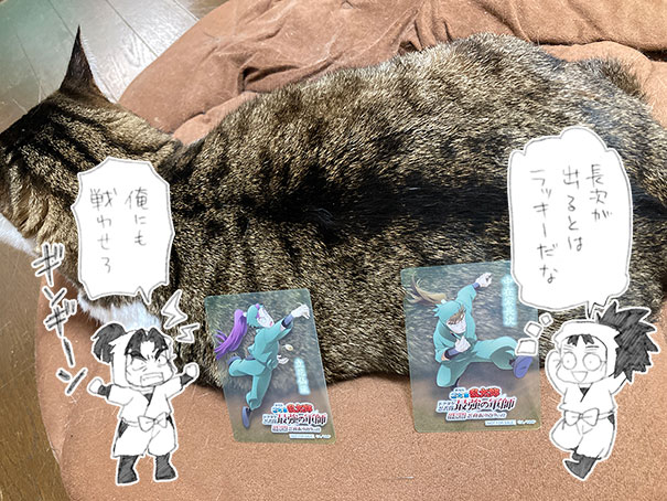 とこさんになります ガトー𝑺𝑯𝑶𝟓ラ on X