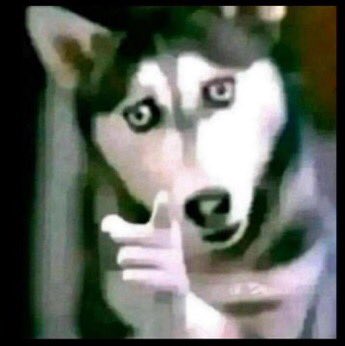 DEADPOOL tweet media