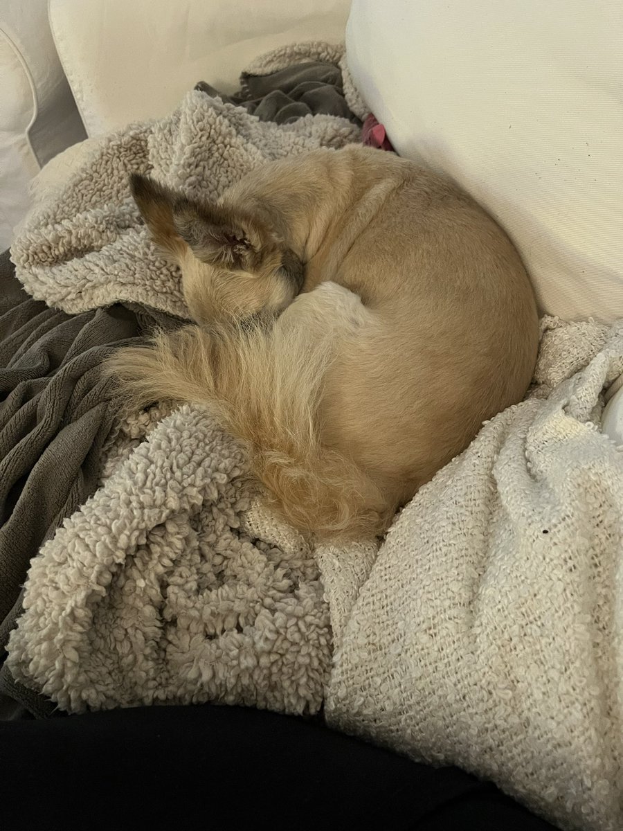 Världens sötaste mugg och världens sötaste hund.