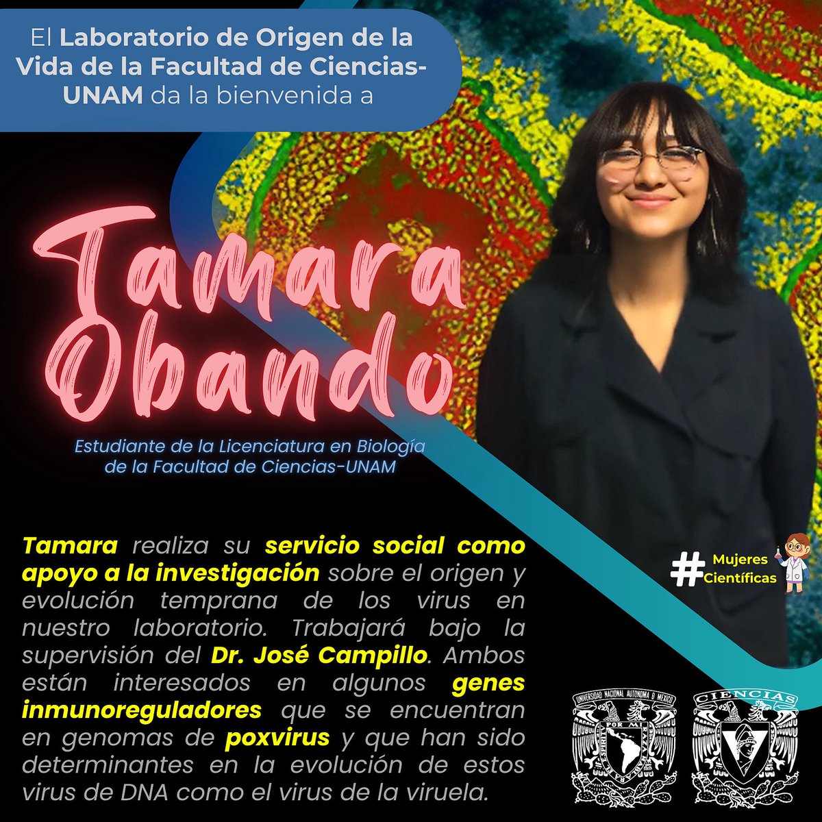 José Campillo tweet media