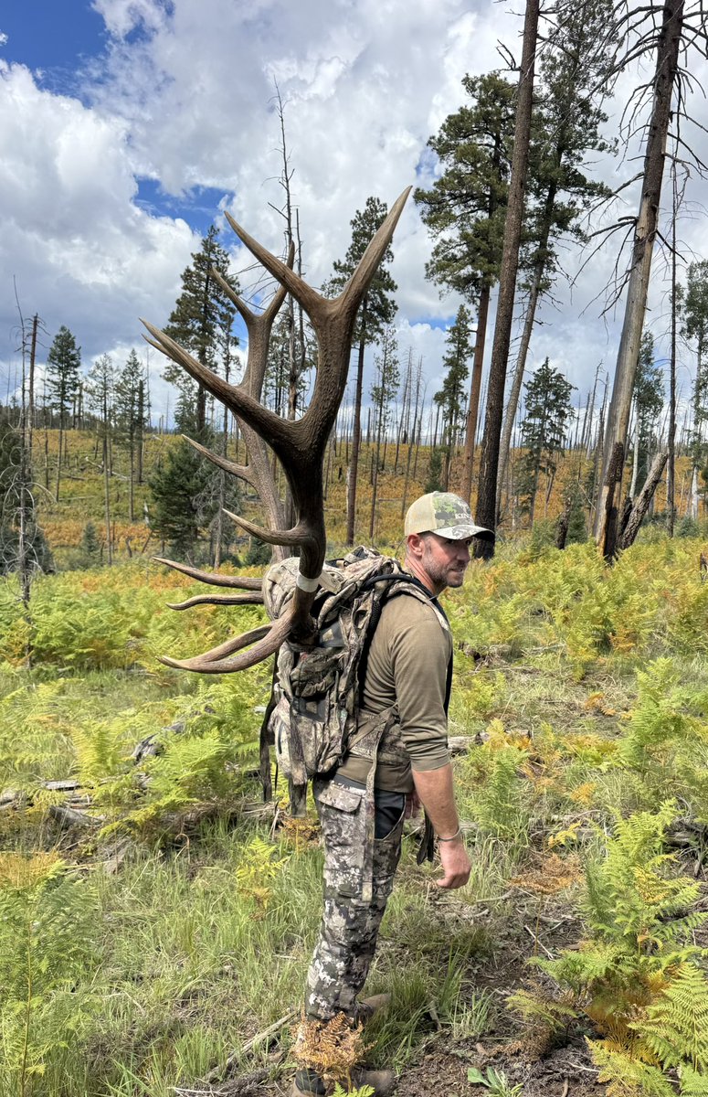 Ryan Clarke tweet media