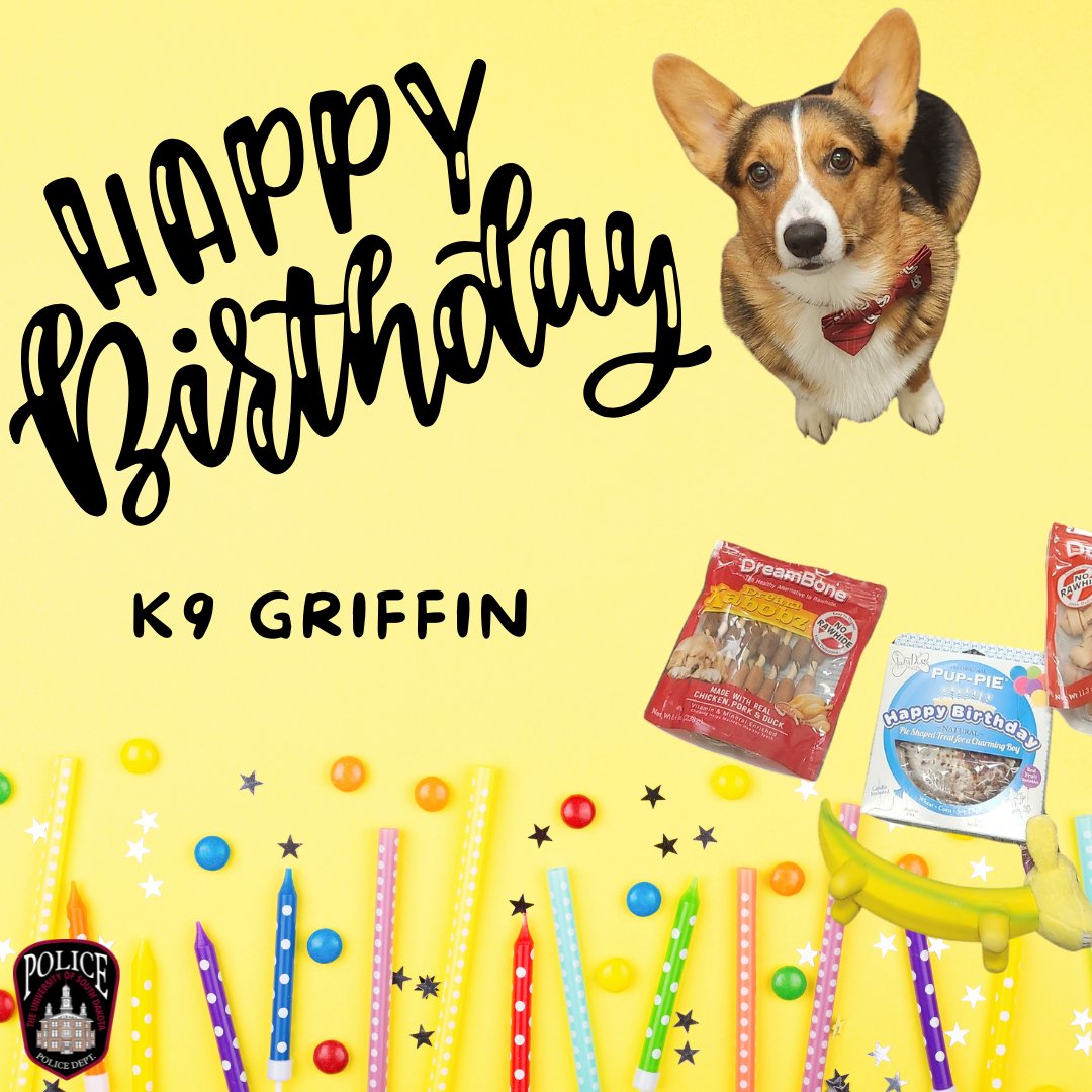 🐾🎉 Happy 2nd Birthday to UPD Therapy K9 Griffin! 🎂 Thanks for bringing comfort, joy &amp; wagging tails to our campus community. Drop your b-day wishes below! #HappyBirthdayGriffin #TherapyK9