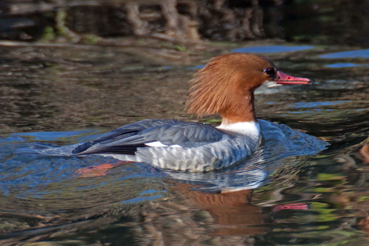 area52lab tweet media