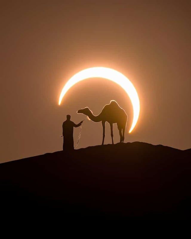 Perfectly Timed Photo Frames a Solar Eclipse Around a Man Leading a Camel in the Desert by Joshua Cripps
