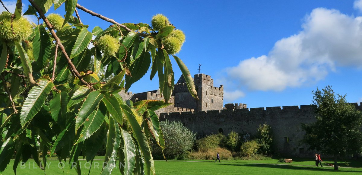 BillyORiordan's tweet photo. A beautiful Autmunal day in Cahir #Tipperary #Cahir #photographyoftheday #photoimage https://t.co/rKxsXDoFtP