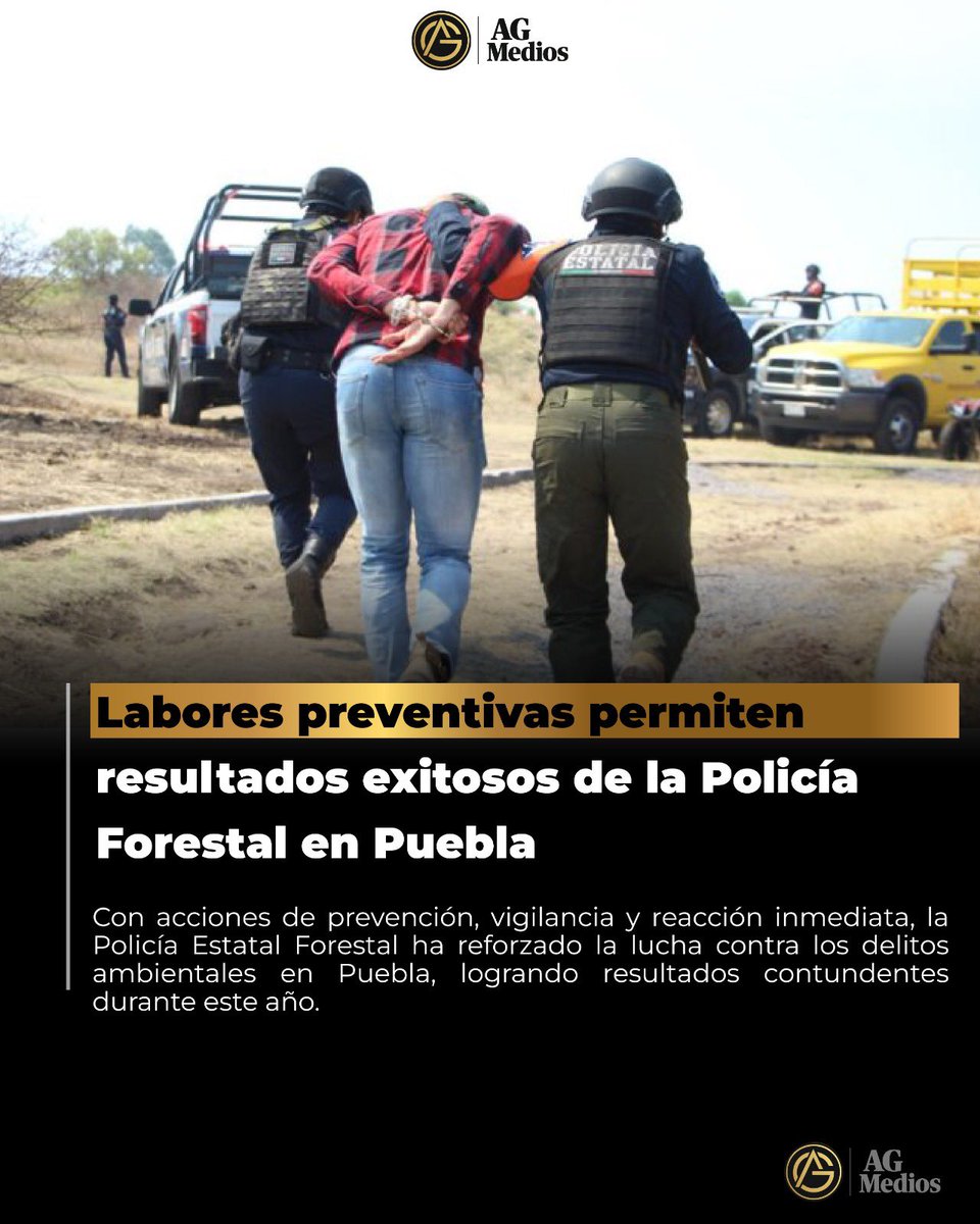 🌲 Gracias a 450 operativos preventivos, la Policía Forestal de Puebla recuperó 588 troncos, inhabilitó 27 hornos clandestinos, detuvo a 13 personas y aseguró 6 vehículos.
👉 Consulta aquí: agmedios.com.mx/labores-preven…

#Puebla #MedioAmbiente #PolicíaForestal #ProtecciónAmbiental