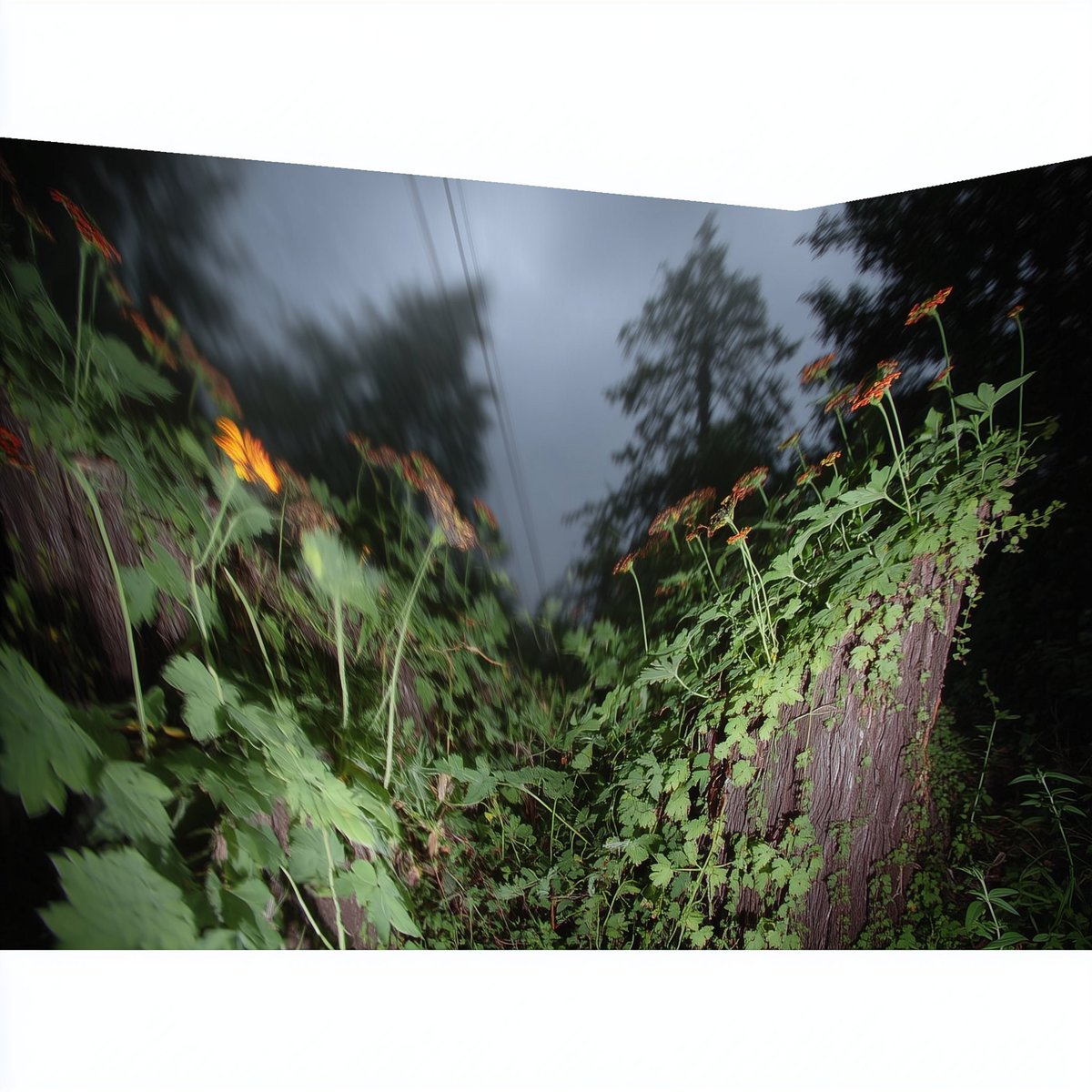 a memory you’re not sure is real #AIart #nature #surrealphotography