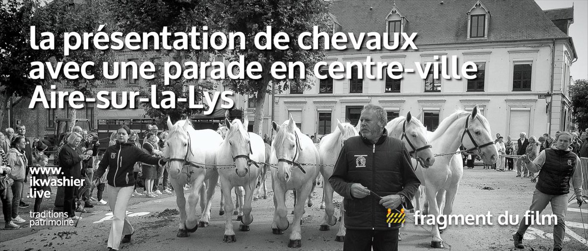 Boulonnais trekpaarden stelen show op youtu.be/QWqGAKLttiU Présentation de chevaux avec parade en centre-ville Aire-sur-la-Lys. ikwashier.live préserve les #traditions et le #patrimoinevivant #Boulonnais #traitboulonnais #cheval #hautsdefrance