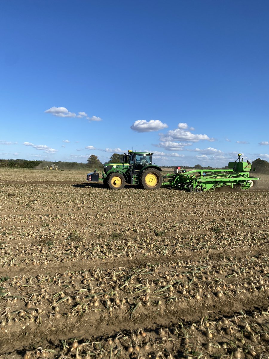 Into the last field of 🧅 for this year. This day last year we received 90mm of rain in one day with half the crop in the field still. A very different year!
