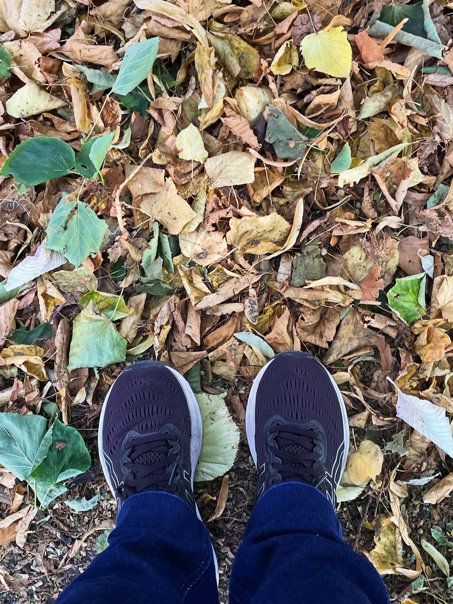 Happy first day of Autumn 😀🍂 

How have you spent today?

I’ve done a thorough clean of my flat, let the fresh air in, Autumn decor is up, I’ve just gone for a walk in the sunshine, and bought ingredients for soup.

What about you?

#autumnleaves #autumncolours #autumnequinox