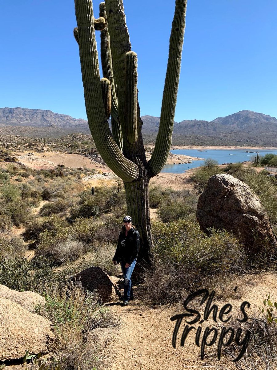 shestrippy71's tweet image. And repeat, and repeat, and repeat. So many place to see. This was in Arizona on one of our winter travels. Love Arizona. #arizona #travel #alwaysgo #livetoexplore