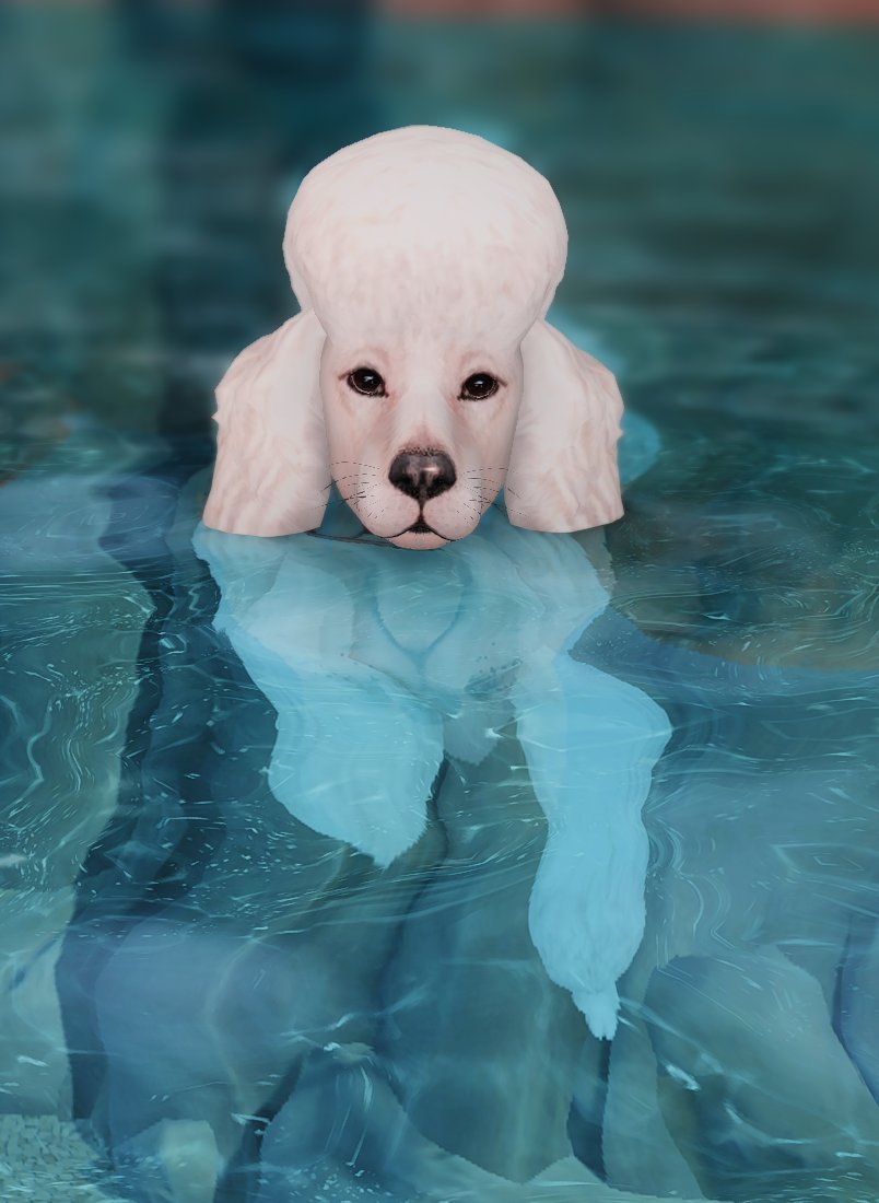 TheMagicBlueFox's tweet image. Just testing it out here
#ShowUsYourSims #TheSims4