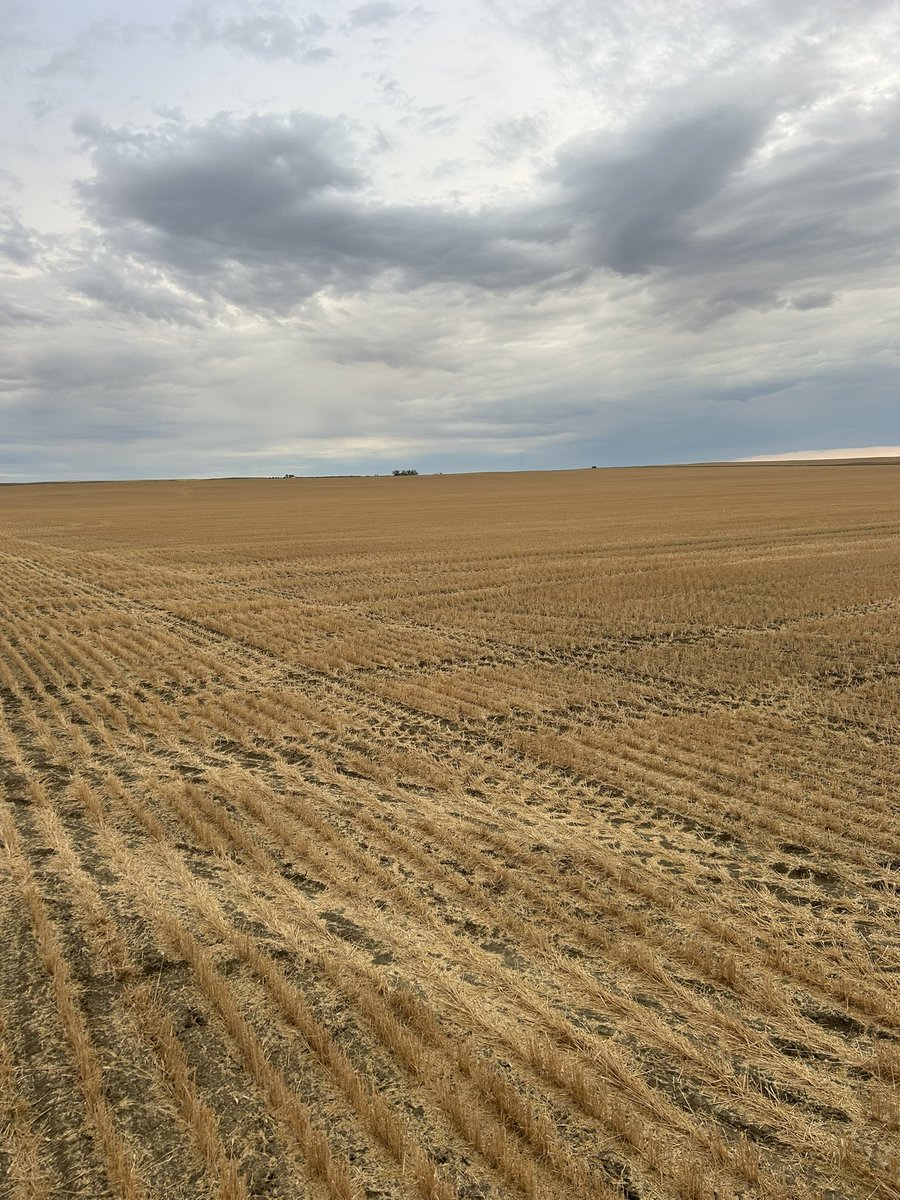 Gotta start the day somewhere