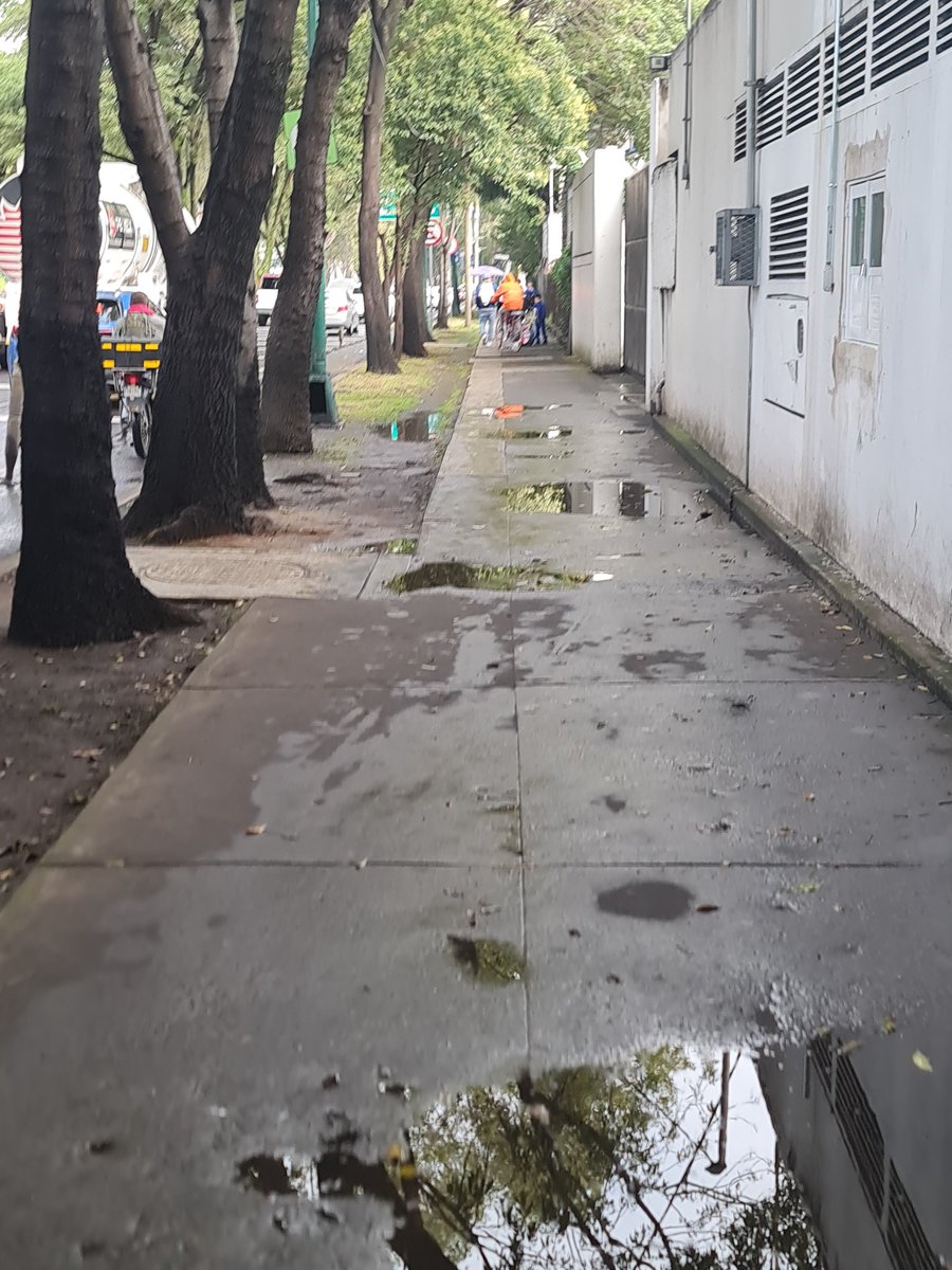 <a href="/DanyAlvarezca/">Dany Alvarez</a> <a href="/PeatonDelSur/">Peatón del sur</a> Hace unos días le comenté que vi a un ciclista sobre la baqueta justo junto a una ciclovía, esta foto es de hoy en el mismo lugar, banqueta del tec de monterrey a la hora de entrada de niños de primaria y preescolar, moto en ciclovía bici en banqueta iba rápido poniendo en riesgo