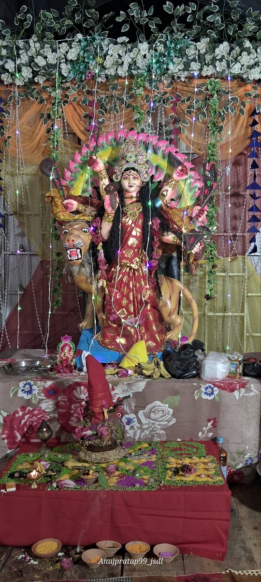 anujpratap_jsdl's tweet image. *शुभ शारदीय नवरात्रि...* 🙏🙇♂️
.
.
.
*प्रथम दिन* 💐