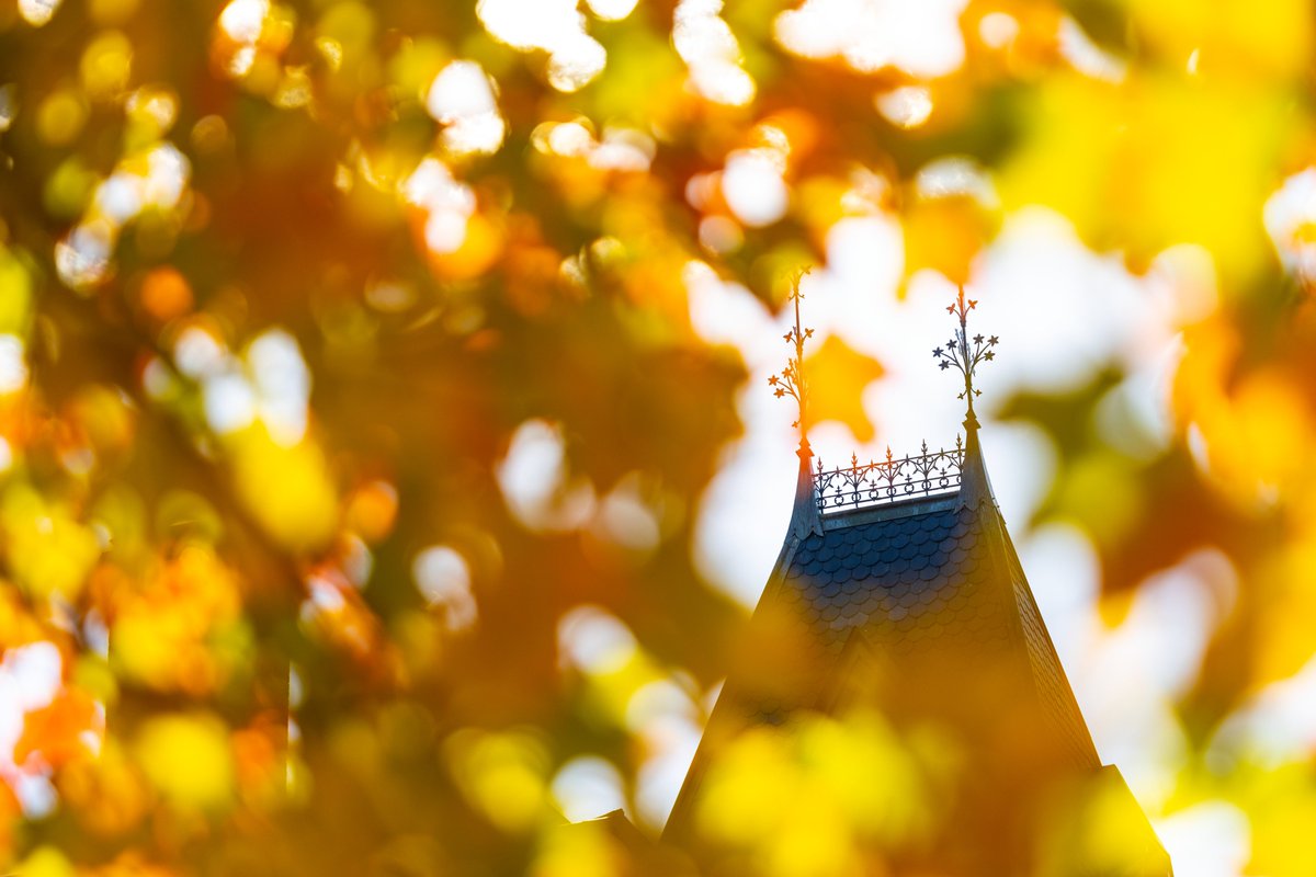 Cornell Society for the Humanities tweet media