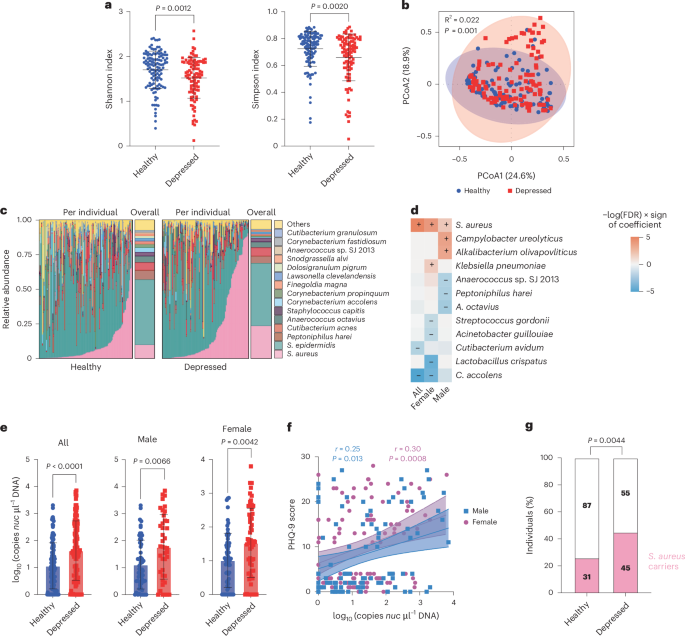 NatureMicrobiol's tweet image. Out Now! Nasal Staphylococcus aureus carriage promotes depressive behaviour in mice via sex hormone degradation bit.ly/46jNlAA #StaphylococcusAureus #DepressionResearch #Microbiology