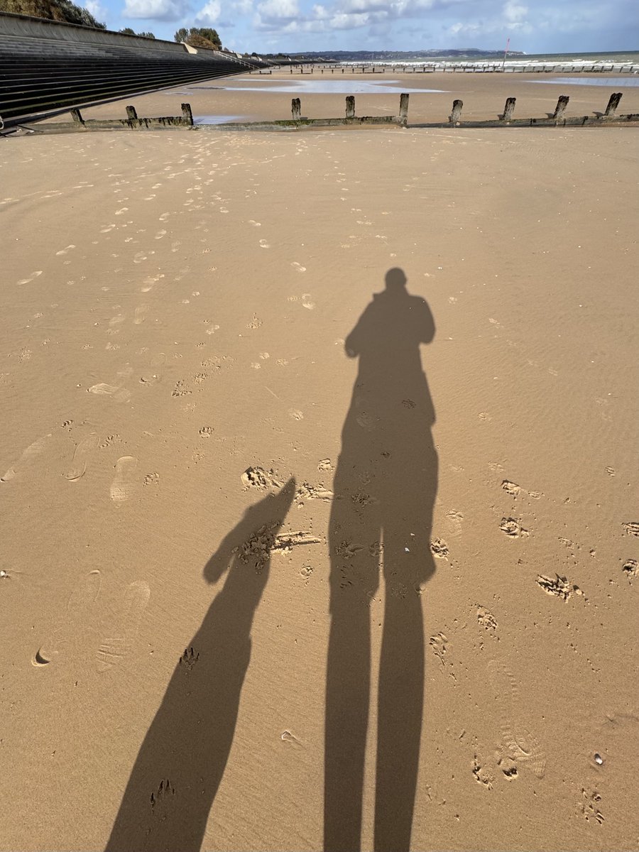 The shadow of complete loyalty. 😌🐾