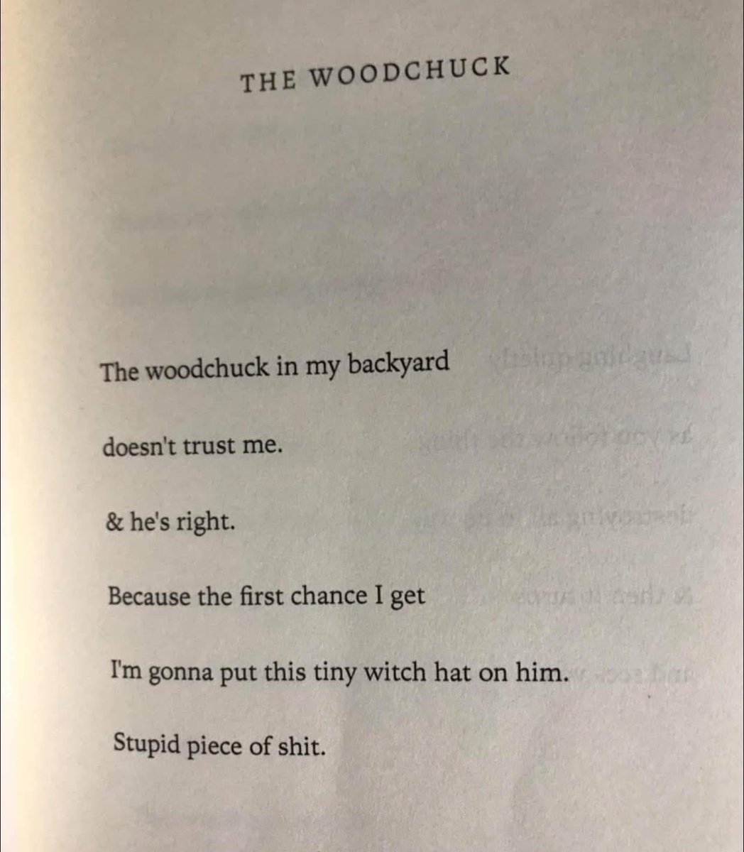 🪷🦚 Unapologetic Teal Era 🦚🪷 tweet media