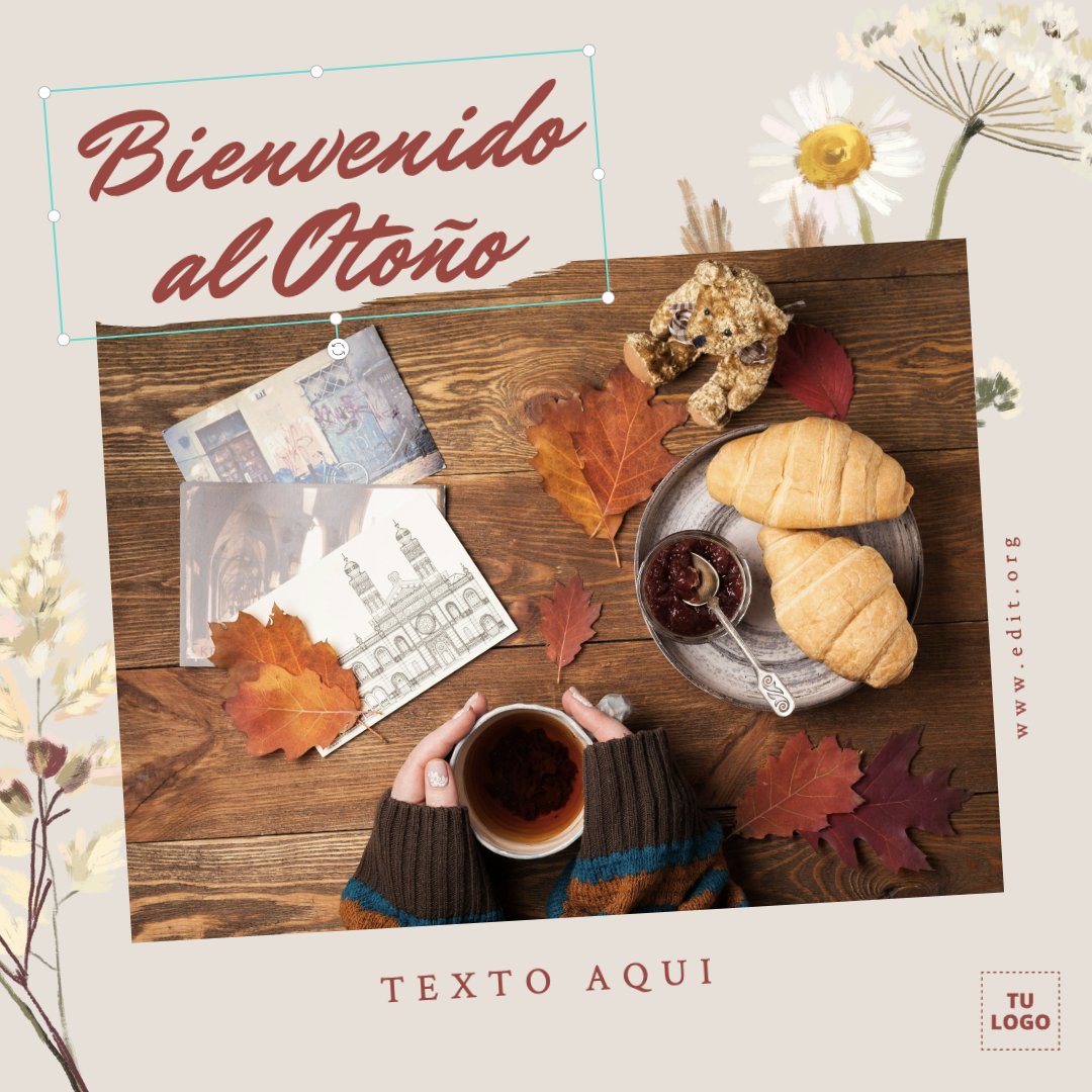 EDIT.org Español | Editor Gráfico Online tweet media