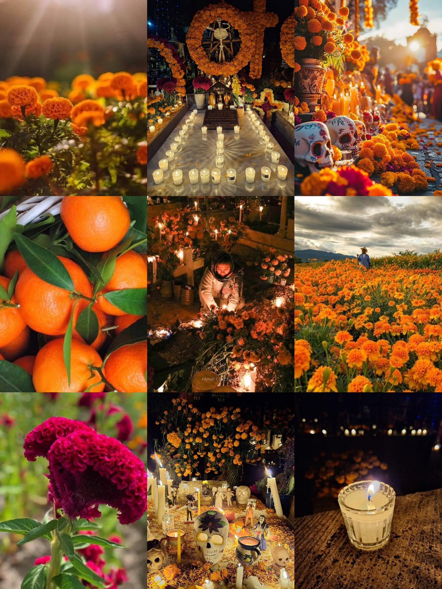 XoxocotlanGente's tweet photo. Hoy inicia o #Otoño la mejor época del año. 

#XoxocotlanysuGente #Oaxaca #Noticias https://t.co/iaqmfbvwXG