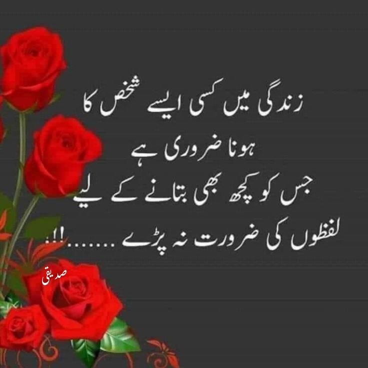 ❤️ ᕼᗩᏢᏢᎽ❤️ ᕼᗩᔑᔑᗩᑎ (@gul115m) on Twitter photo السلام علیکم
Repost🟡👈
<a href="/gul115m/">𝐇APpy𝆺𝅥⃝♥️</a>
<a href="/Ghz21/">⍟𝐆𝐡𝐚𝐳𝐚𝐥𝐚 𝐒𝐚𝐝𝐚𝐟⍟</a>
<a href="/_1gul/">Aαɾα Yσυʂαϝȥαι</a>
<a href="/Muhamme03120906/">Ulfat Ramzan</a>
<a href="/Ghz39/">❦ 𝐆𝖍𝖆𝖟𝖆𝖑𝖆𝖍 𝐒𝖆𝖉𝖆𝖋 ❦</a>
<a href="/1mnbS/">FATIMA BALOCH</a>
<a href="/its_f5S/">𝒵𝒜𝐻ᖇᗩ</a>
<a href="/Sana_IIK/">KhanZaadi 🦋</a>
<a href="/zimal293/">🦋𝐑ᴀsʜɪᴅᴀʜ🦋</a>
<a href="/TS40_/">Tashvi💕💞</a>
<a href="/1z_K8/">ZK</a>
<a href="/Hurain_5/">Hurain 💞حورین</a>
<a href="/khalida_zarar/">ƙź</a>
<a href="/_honyA_Pti/">♌ ˈhənēgull* 🍂🍃 ♐</a>
<a href="/hi03708476/">Mrs Humayun</a>
<a href="/Znt36/">🍁Zeenat🍁</a>
<a href="/bi1k2/">Naqeeb Khan anjum</a>
<a href="/1Mlkani/">𝐌𝐚𝐡𝐢 𝐌𝐚𝐥𝐢𝐤</a>
<a href="/7Rehna/">💕 Jadoon 💕</a>
<a href="/IK92K/">𝔸𝕝𝕚</a>
<a href="/6kshf/">Syed Kashif 2</a>
<a href="/_Siik1/">Mahzaadi</a>
<a href="/NM1k_/">༺ 💎𒆜𝑵𝑬𝑬𝑵𝑨𝑯𒆜💎 ༻</a>
<a href="/V13lula/">Karen Lúcia♀️🚩🌵</a>
<a href="/A_2SF/">S Rahe</a>
<a href="/Sc2017W/">SC2017</a>
<a href="/Y_O_U_S_1/">✨️ YOUSIF ✨️</a>
<a href="/OdriSeva/">Odri Seva</a> السلام علیکم
Repost🟡👈
<a href="/gul115m/">𝐇APpy𝆺𝅥⃝♥️</a>
<a href="/Ghz21/">⍟𝐆𝐡𝐚𝐳𝐚𝐥𝐚 𝐒𝐚𝐝𝐚𝐟⍟</a>
<a href="/_1gul/">Aαɾα Yσυʂαϝȥαι</a>
<a href="/Muhamme03120906/">Ulfat Ramzan</a>
<a href="/Ghz39/">❦ 𝐆𝖍𝖆𝖟𝖆𝖑𝖆𝖍 𝐒𝖆𝖉𝖆𝖋 ❦</a>
<a href="/1mnbS/">FATIMA BALOCH</a>
<a href="/its_f5S/">𝒵𝒜𝐻ᖇᗩ</a>
<a href="/Sana_IIK/">KhanZaadi 🦋</a>
<a href="/zimal293/">🦋𝐑ᴀsʜɪᴅᴀʜ🦋</a>
<a href="/TS40_/">Tashvi💕💞</a>
<a href="/1z_K8/">ZK</a>
<a href="/Hurain_5/">Hurain 💞حورین</a>
<a href="/khalida_zarar/">ƙź</a>
<a href="/_honyA_Pti/">♌ ˈhənēgull* 🍂🍃 ♐</a>
<a href="/hi03708476/">Mrs Humayun</a>
<a href="/Znt36/">🍁Zeenat🍁</a>
<a href="/bi1k2/">Naqeeb Khan anjum</a>
<a href="/1Mlkani/">𝐌𝐚𝐡𝐢 𝐌𝐚𝐥𝐢𝐤</a>
<a href="/7Rehna/">💕 Jadoon 💕</a>
<a href="/IK92K/">𝔸𝕝𝕚</a>
<a href="/6kshf/">Syed Kashif 2</a>
<a href="/_Siik1/">Mahzaadi</a>
<a href="/NM1k_/">༺ 💎𒆜𝑵𝑬𝑬𝑵𝑨𝑯𒆜💎 ༻</a>
<a href="/V13lula/">Karen Lúcia♀️🚩🌵</a>
<a href="/A_2SF/">S Rahe</a>
<a href="/Sc2017W/">SC2017</a>
<a href="/Y_O_U_S_1/">✨️ YOUSIF ✨️</a>
<a href="/OdriSeva/">Odri Seva</a>