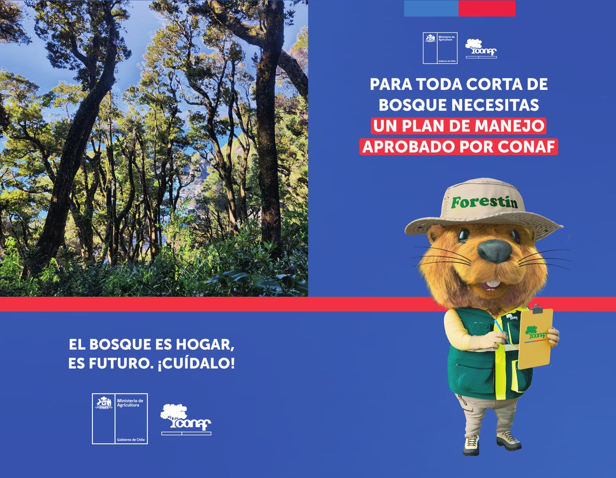 munipinto's tweet photo. Lanzamiento de la Campaña de Difusión de Fiscalización de CONAF en Ñuble 🌳

https://t.co/wOdBK8c2E2

Esperamos contar con su valiosa participación. https://t.co/cNKUWGaAUF