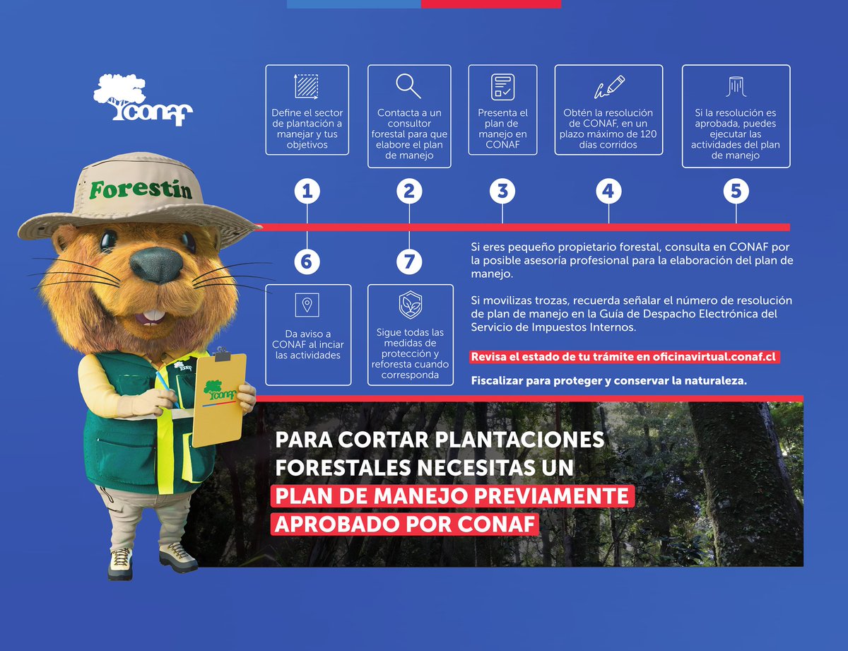 Lanzamiento de la Campaña de Difusión de Fiscalización de CONAF en Ñuble 🌳

facebook.com/share/p/1B5D93…

Esperamos contar con su valiosa participación.