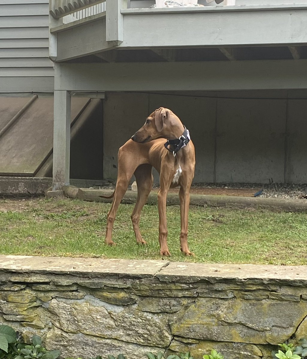 TwoMares's tweet image. Who let her grow up?