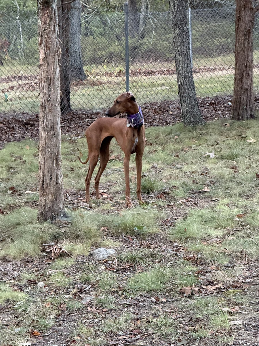 TwoMares's tweet image. Who let her grow up?