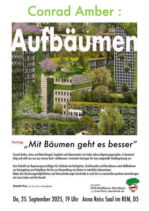 Conrad Amber tweet media