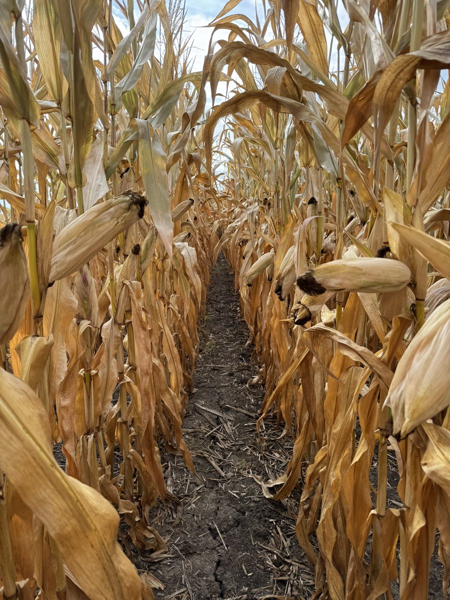 R.Spuehler Agri Services tweet media
