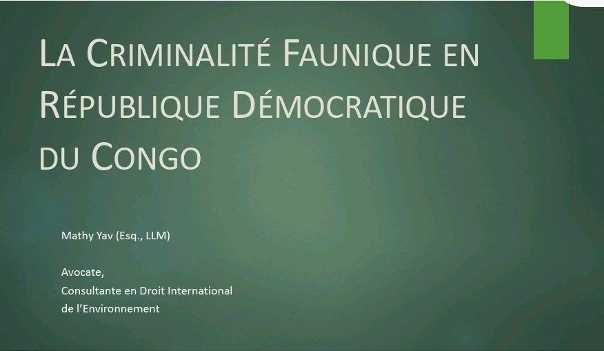 Mathy Yav tweet media