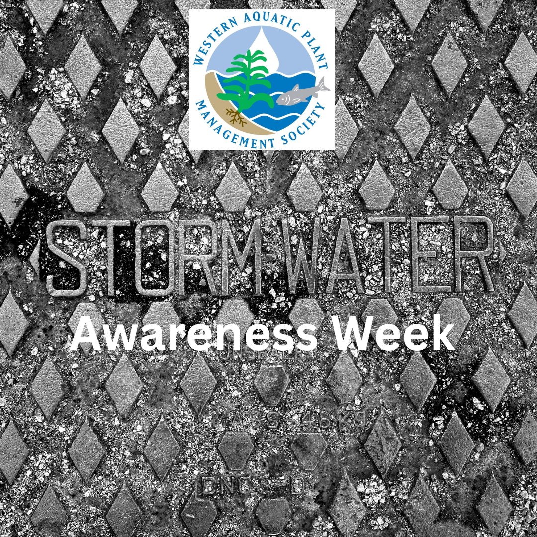 westapms's tweet image. Stormwater doesn’t just carry pollutants...it can also spread invasive floating weeds from pond to pond, lake to lake, &amp;amp; place to place. 🌿🚫

Understanding #stormwatermanagement is key to protecting our waterways &amp;amp; keeping #aquaticweeds in check.

#WAPMS #stormwaterawarenessweek